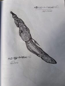 56e07a3d-d394-47d5-a7f7-241c2dff9b47